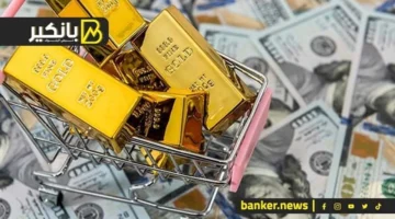 تحرك مصري جديد.. خطة الجمارك والتمثيل التجاري لتسريع حركة تداول البضائع المتراكمة